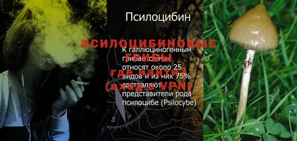 mix Няндома