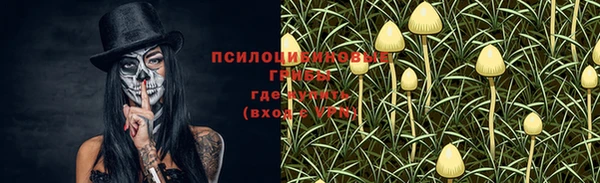 прущий лед Алзамай